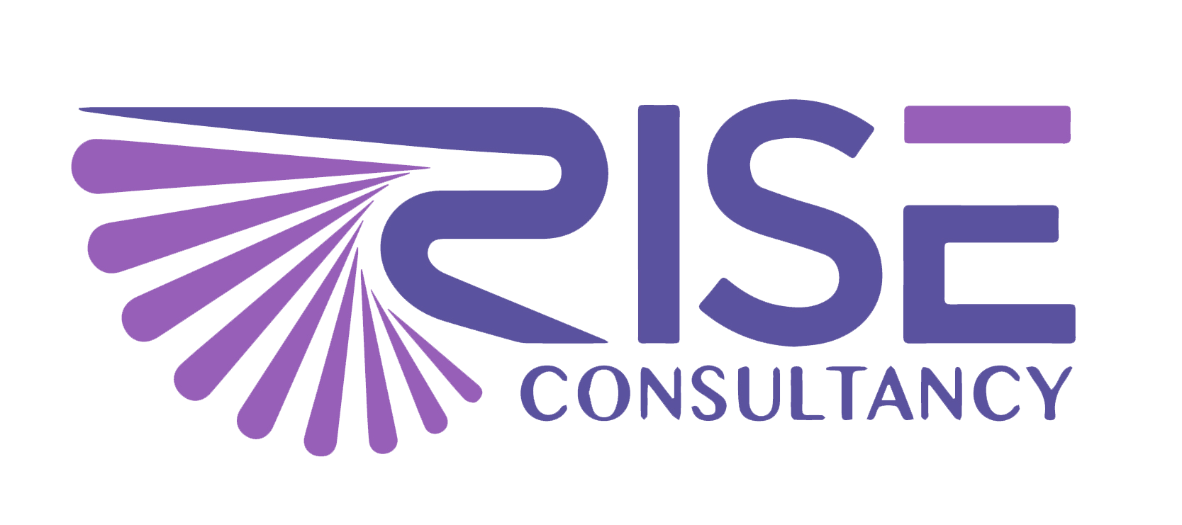 Rise Consultancy Edu